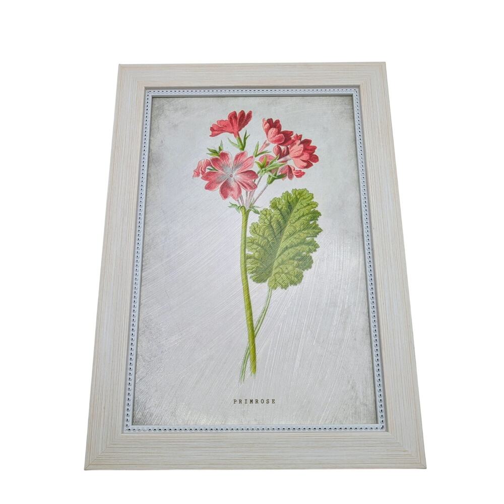 Kirkland's Home Birth Month Flower February Primrose Framed Picture